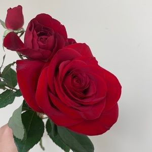 Meet your Posher, Olivia